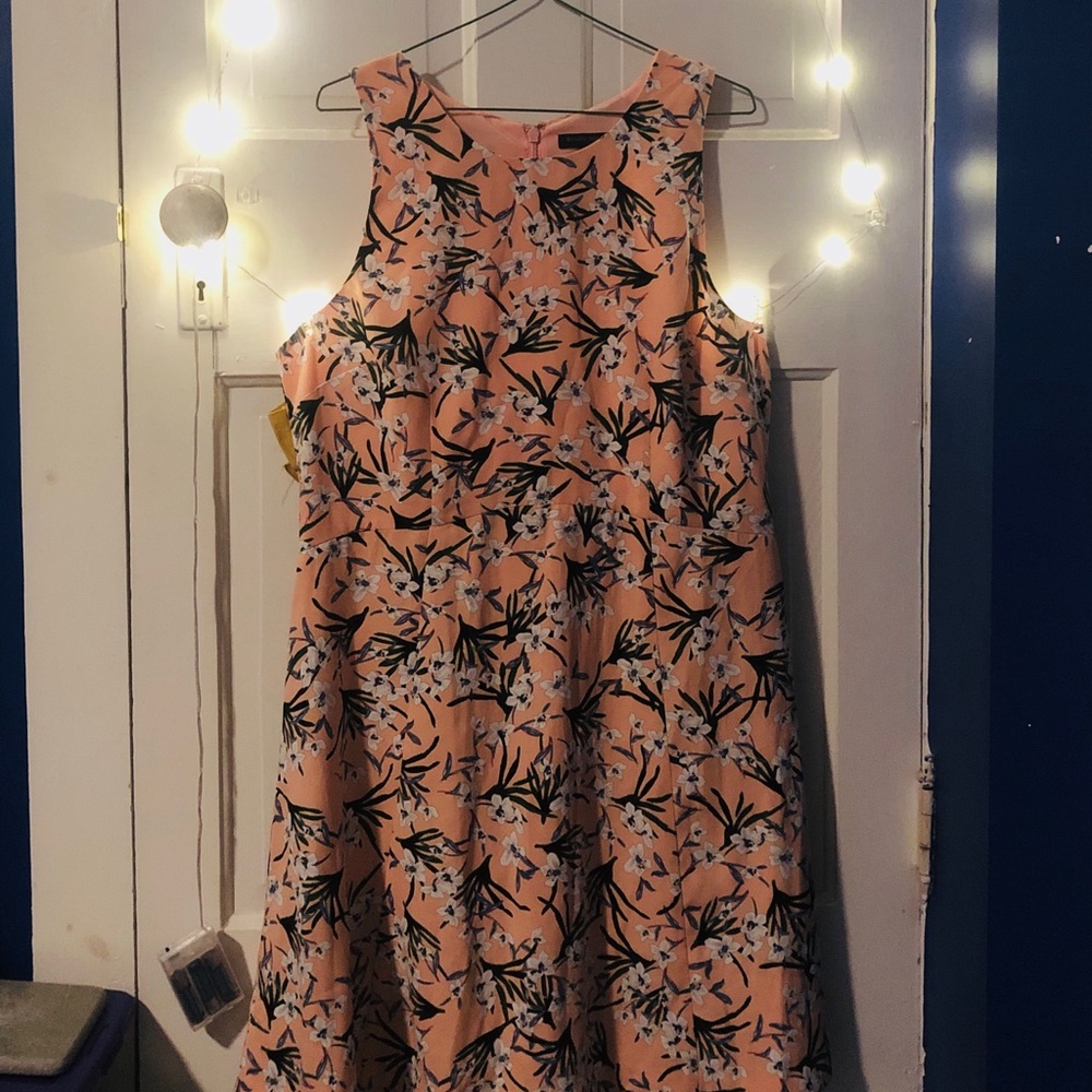 Banana Republic Pink Flower Dress (Plus)